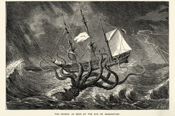 Kraken tor