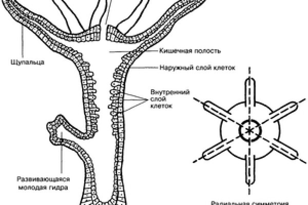 Кракен сайт купить наркотики