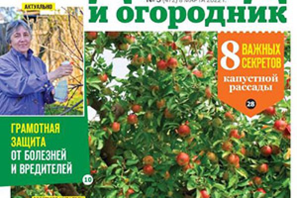 Кракен наркологический